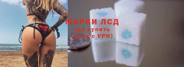 крисы Аркадак