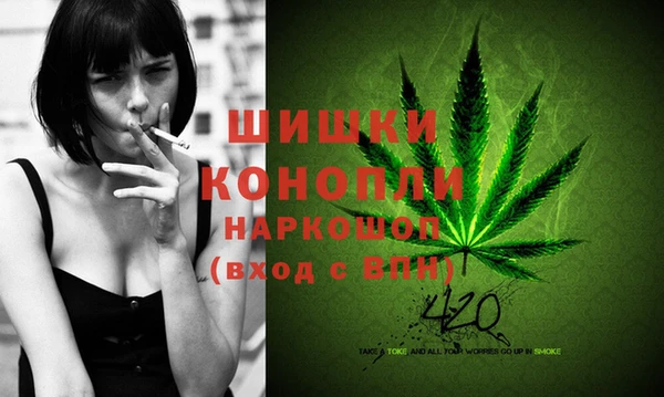 крисы Аркадак